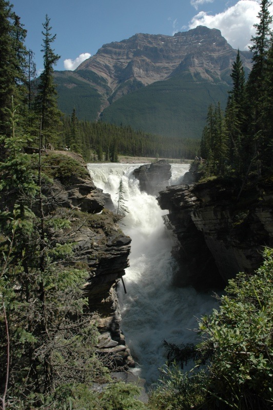 Athabasca Falls