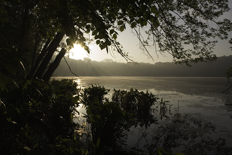 Chain 'o Lakes Dawn